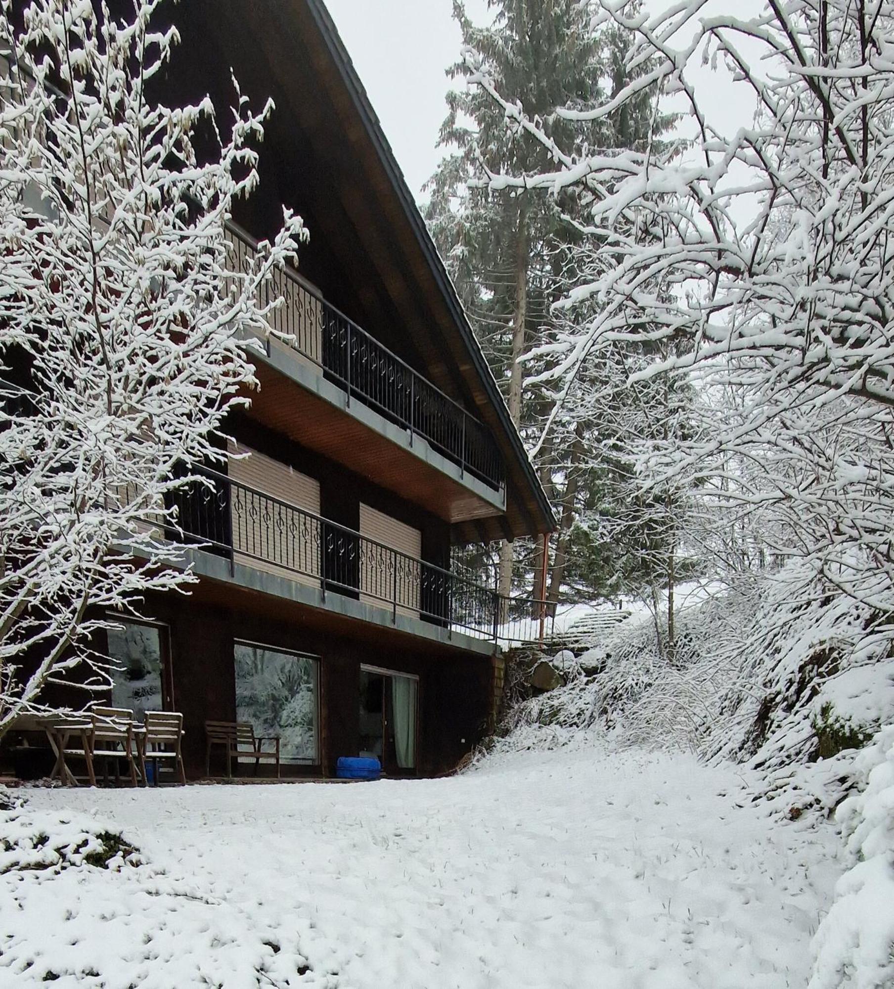 Ferienwohnung In Schoenwald Schwarzwald Εξωτερικό φωτογραφία